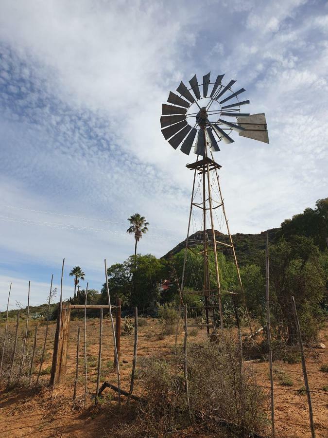 Thabile Lodge Oudtshoorn Exterior photo