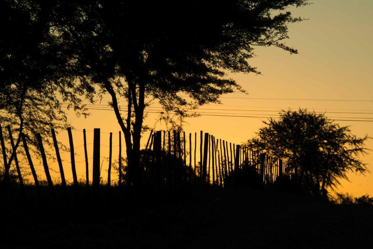 Thabile Lodge Oudtshoorn Exterior photo